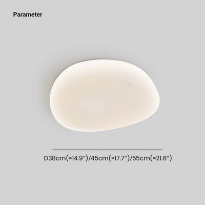 Flush Mount Ceiling Light