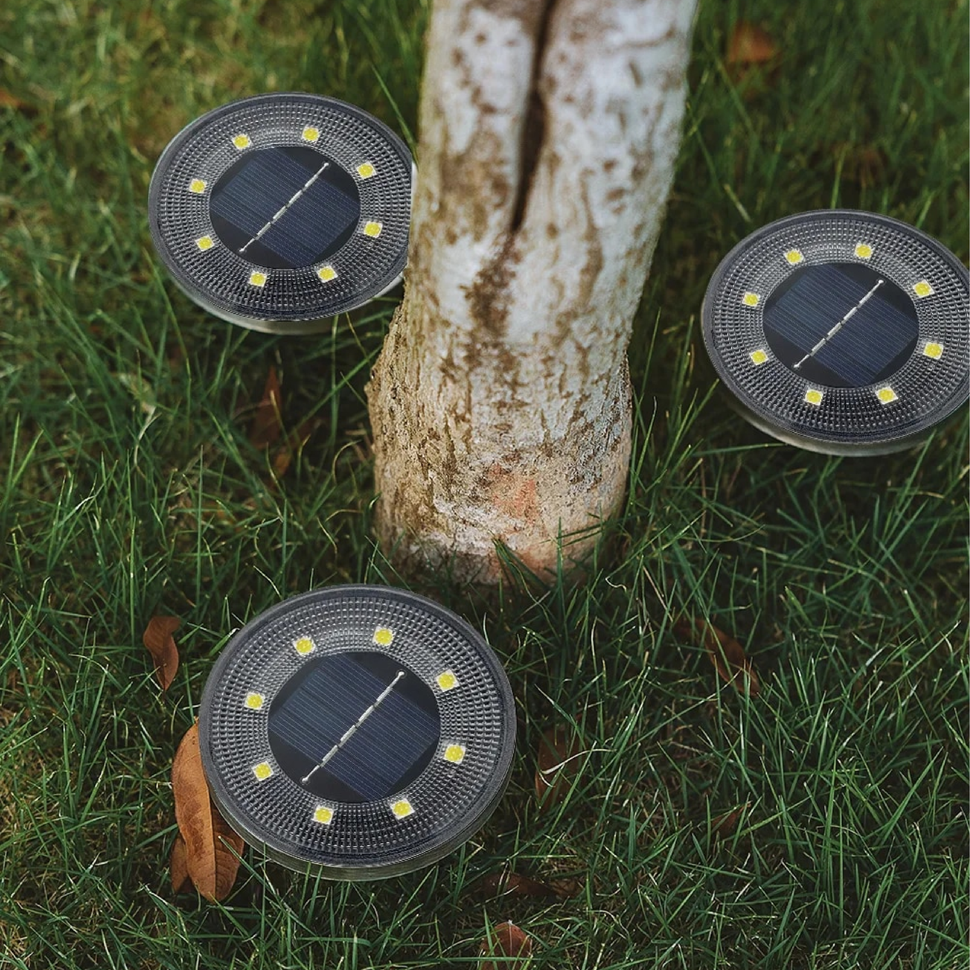 GreenGlow - Solar Outdoor Lamps