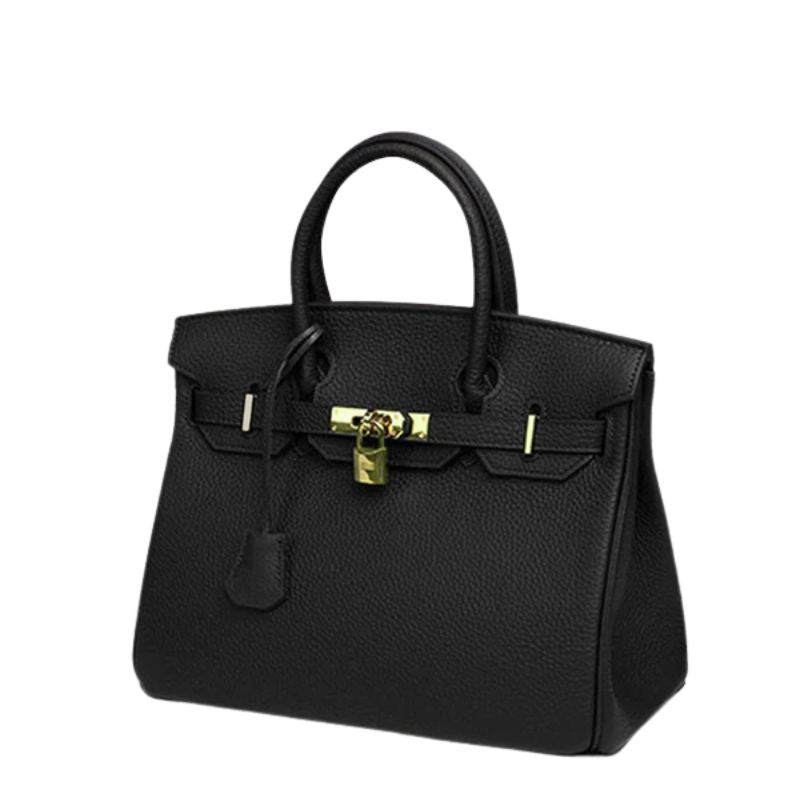 Brana – Elegant Handbag with Intricate Stitching and Unique Lock Closure