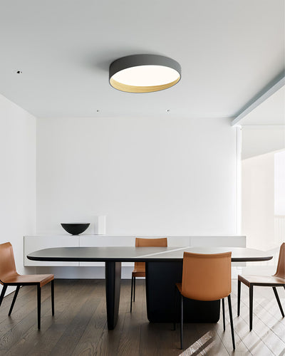 LuxeFinish - Ceiling Lamp with Elegant Design and Soft Glow