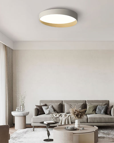LuxeFinish - Ceiling Lamp with Elegant Design and Soft Glow