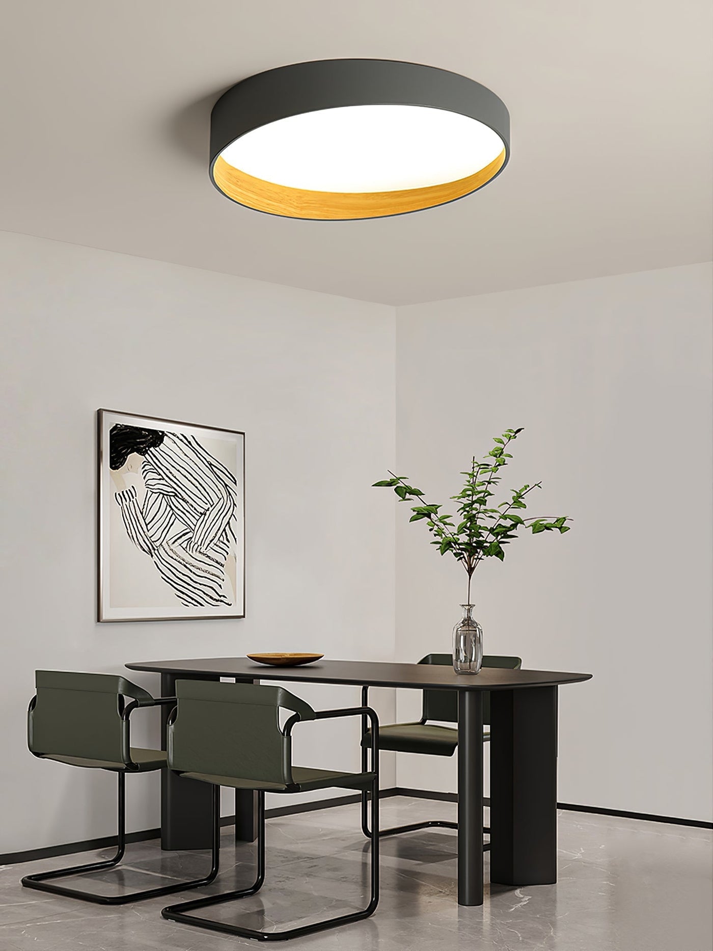 LuxeFinish - Ceiling Lamp with Elegant Design and Soft Glow