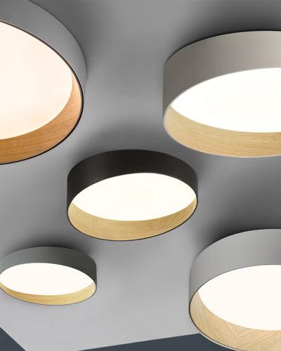 LuxeFinish - Ceiling Lamp with Elegant Design and Soft Glow