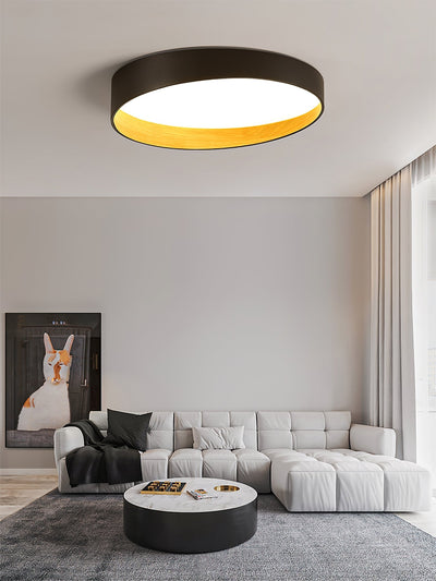 LuxeFinish - Ceiling Lamp with Elegant Design and Soft Glow