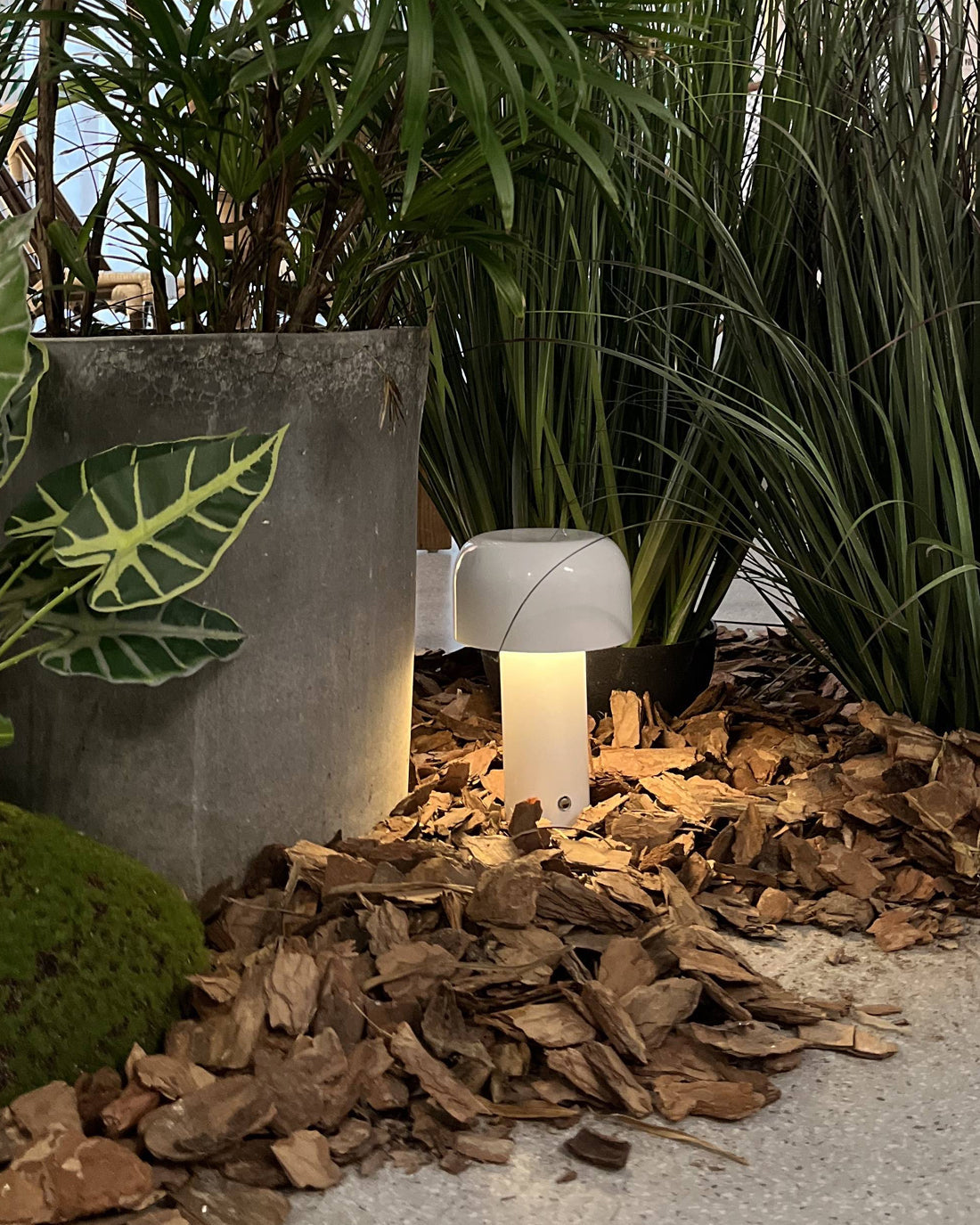 EcoGlow – Rechargeable LED Table Lamp with Portable Design