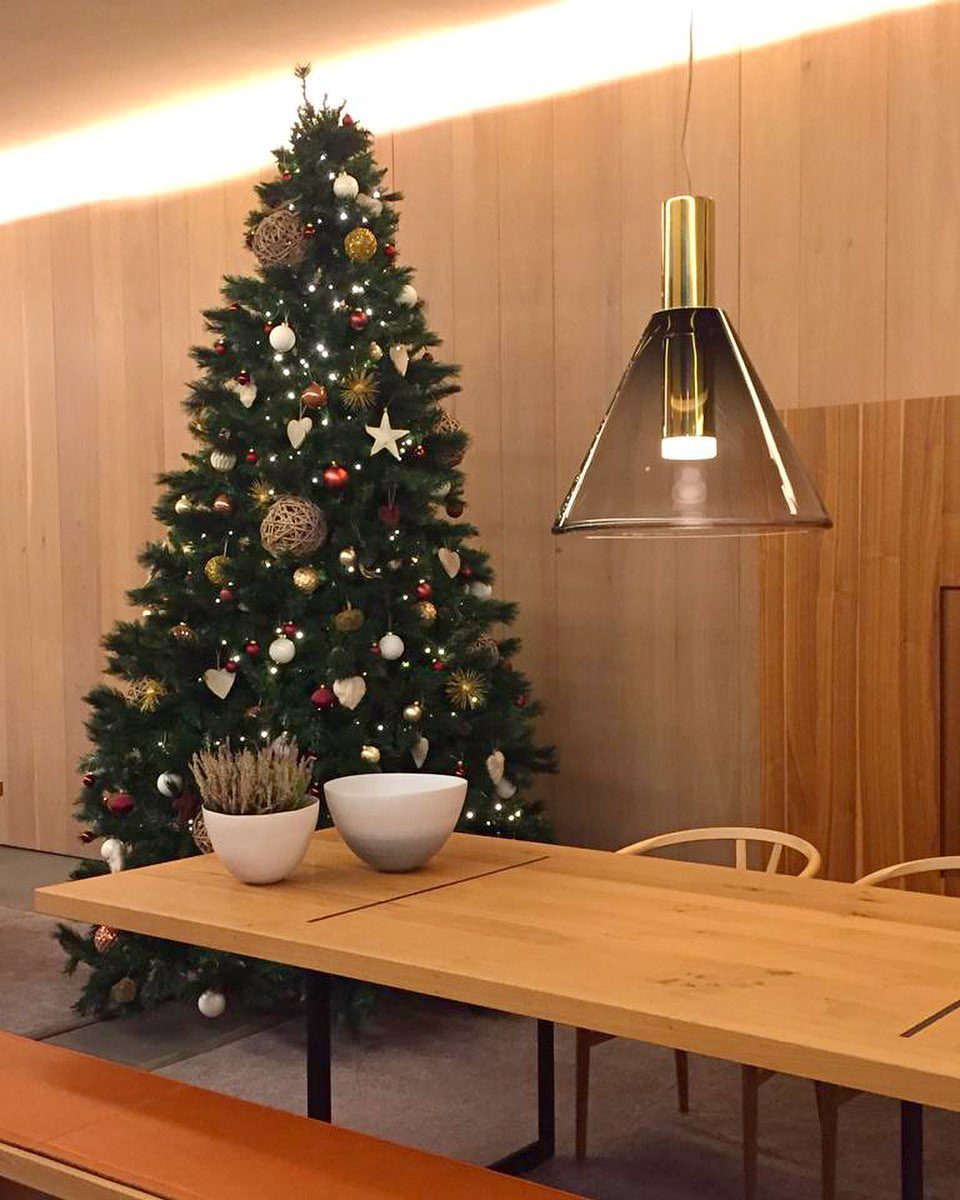OpalGlow - Elegant Ceiling Lamp