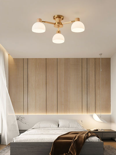 IgniteFlare - Industrial Style Ceiling Fixture