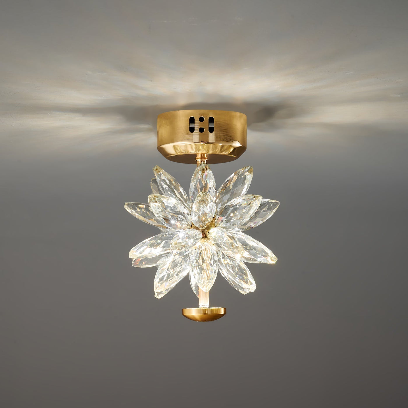 BotanicLuxe - Ceiling Lamp with Floral Theme and Subtle Radiance