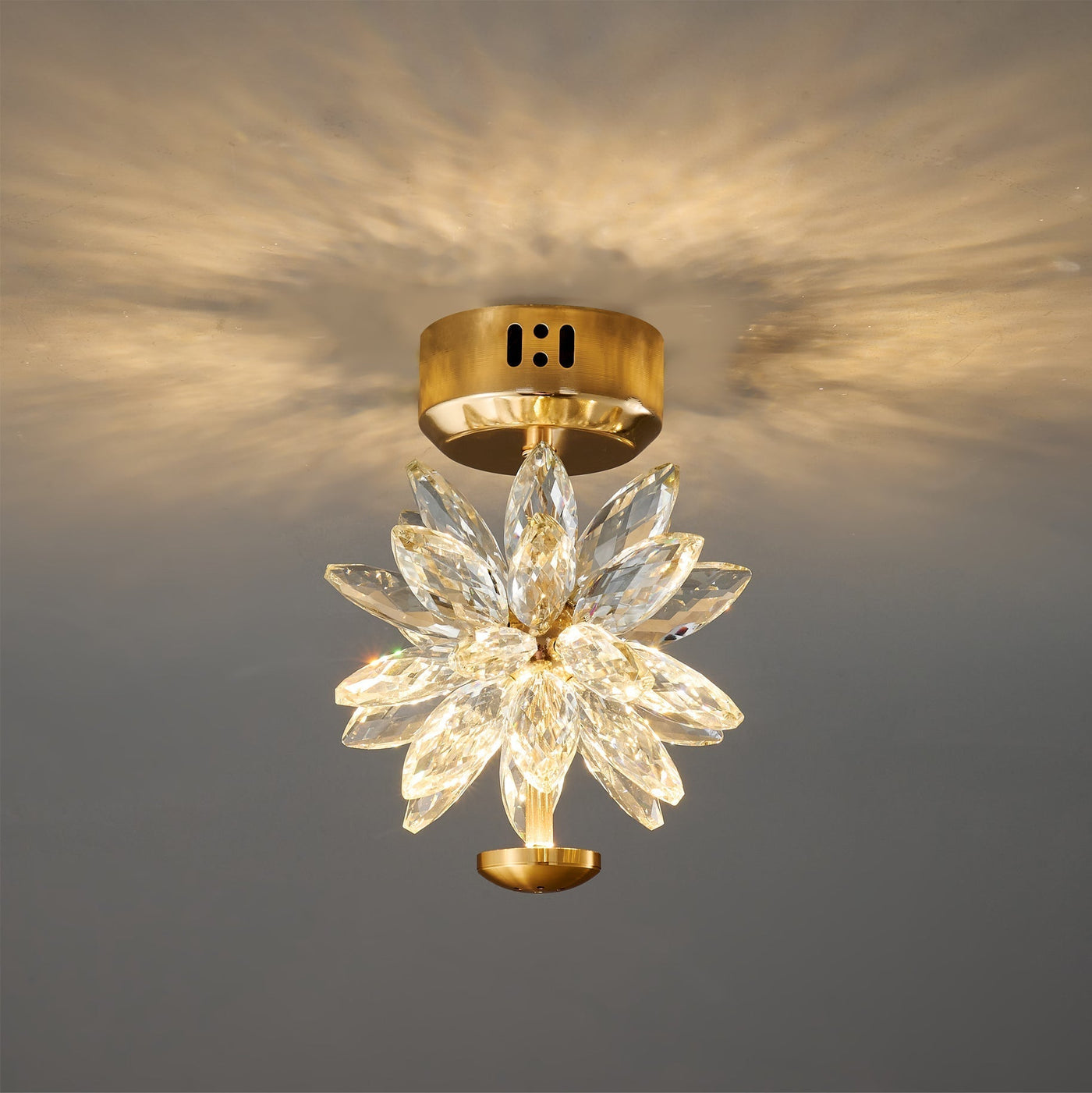 BotanicLuxe - Ceiling Lamp with Floral Theme and Subtle Radiance