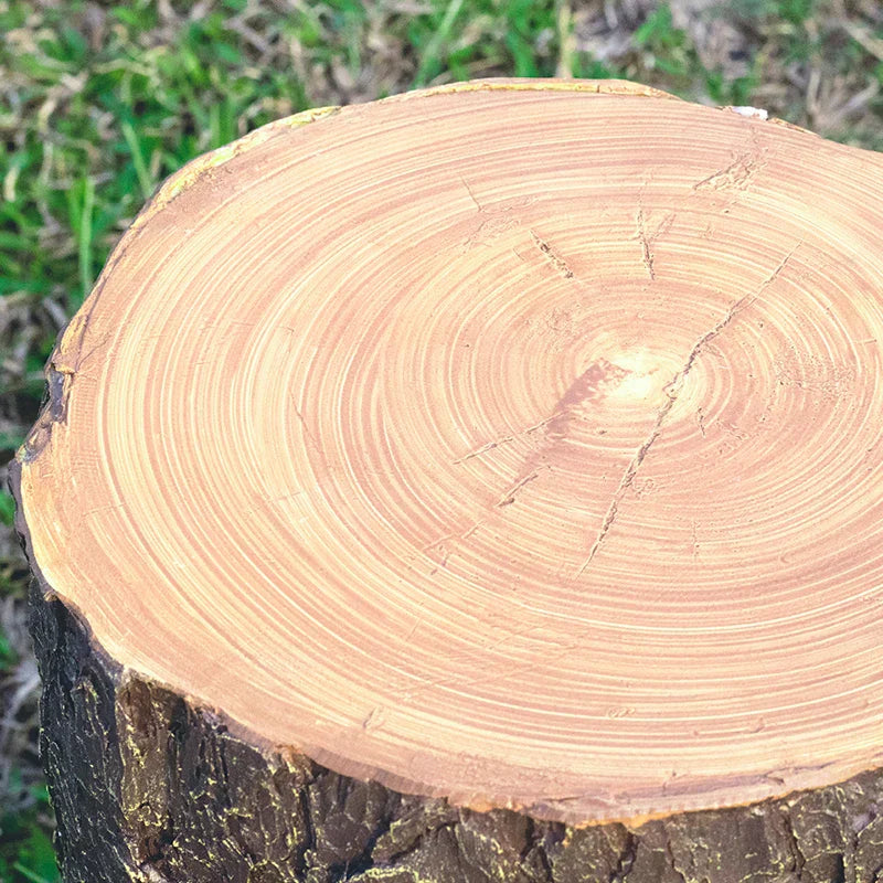 Creative Tree Stump Garden Light - Energy-Efficient Outdoor LED Lights, 50,000-Hour Lifespan