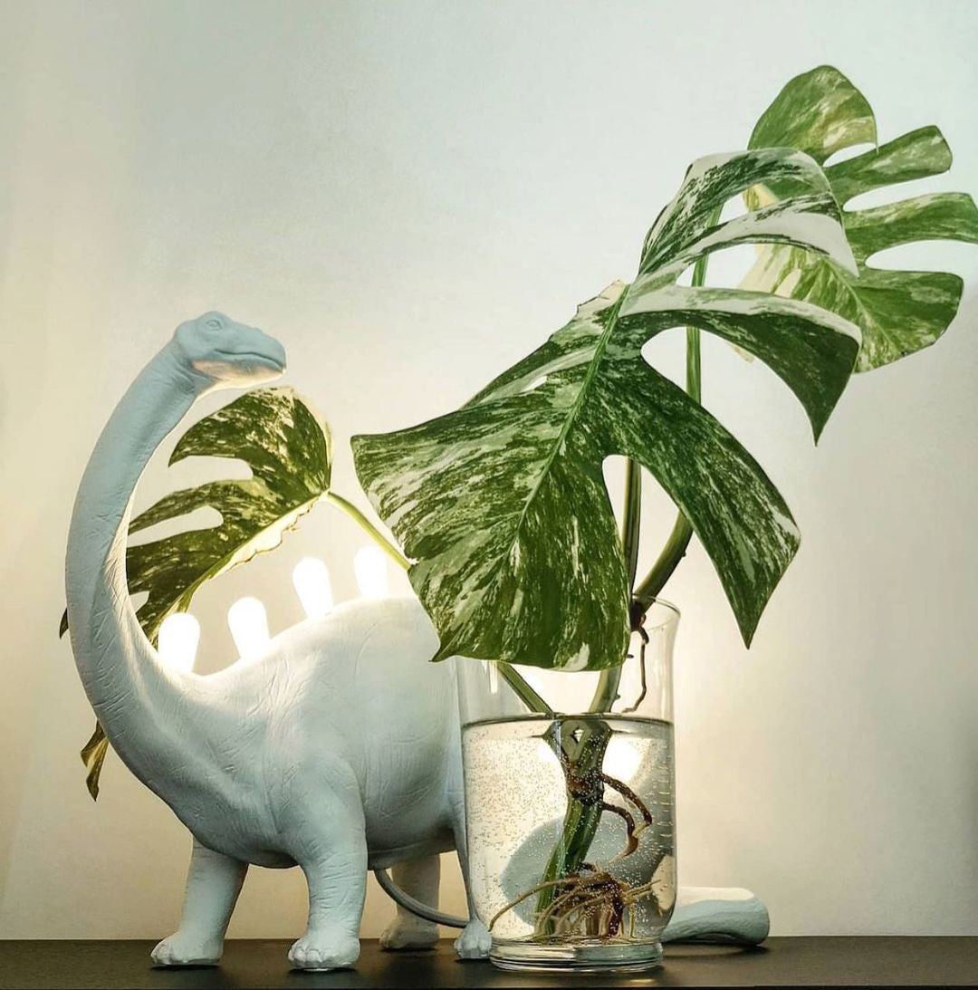 DinoLite - Creatieve Tafel Lamp met Verlichte Rug