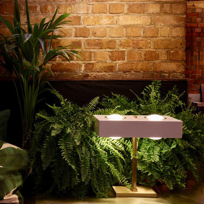 OrganicLuxe - Stylish Lamp with Natural Design and Gentle Glow