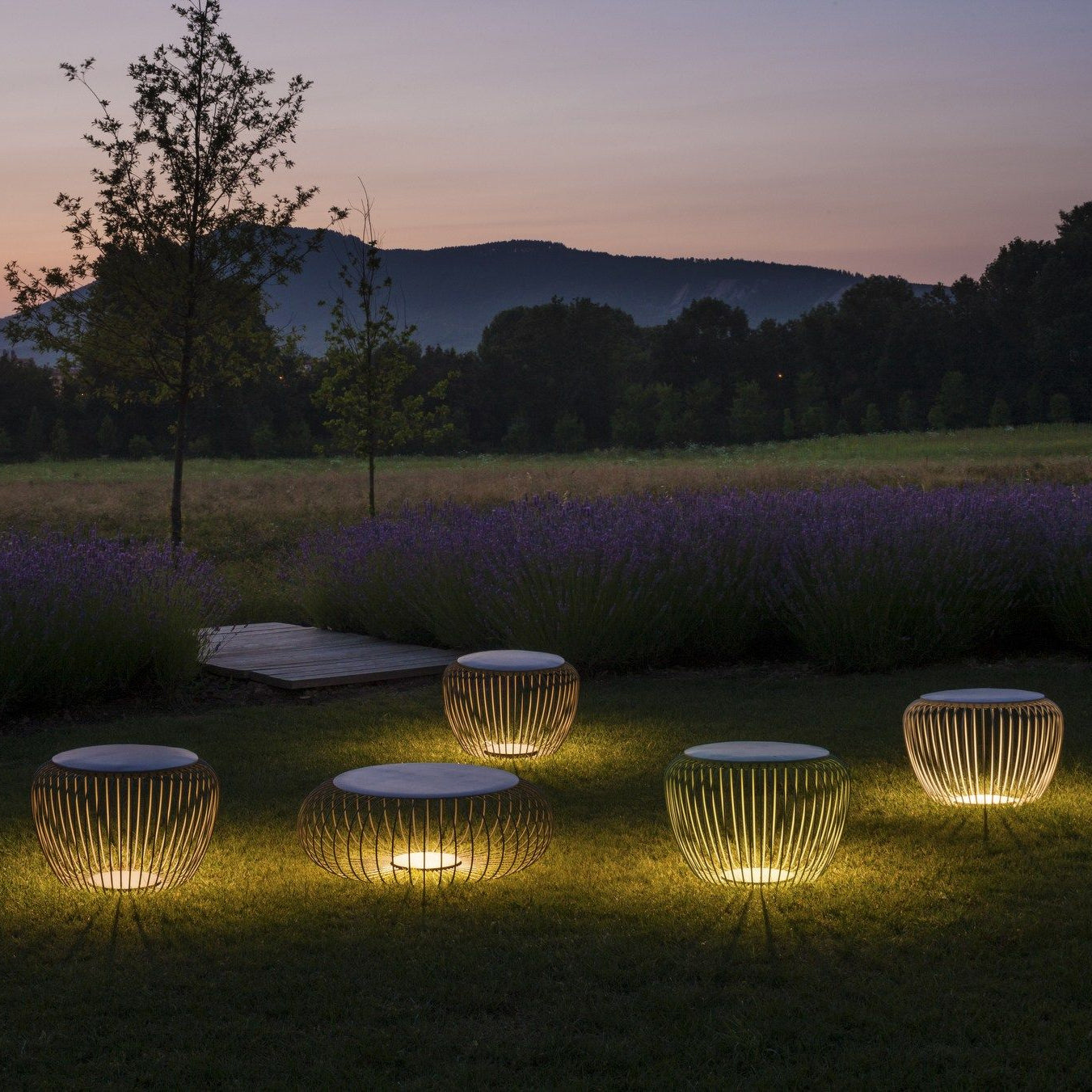 EcoGlow - Sleek Table Lamp with Garden-Ready Features