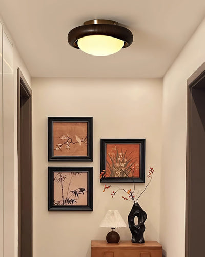 NoviLuxe - Ceiling Light with Streamlined Form and Warm Glow