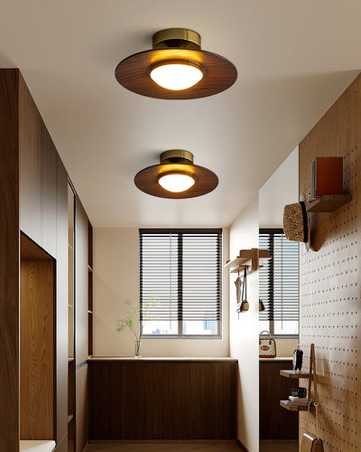 OlavShine - Modern Ceiling Fixture