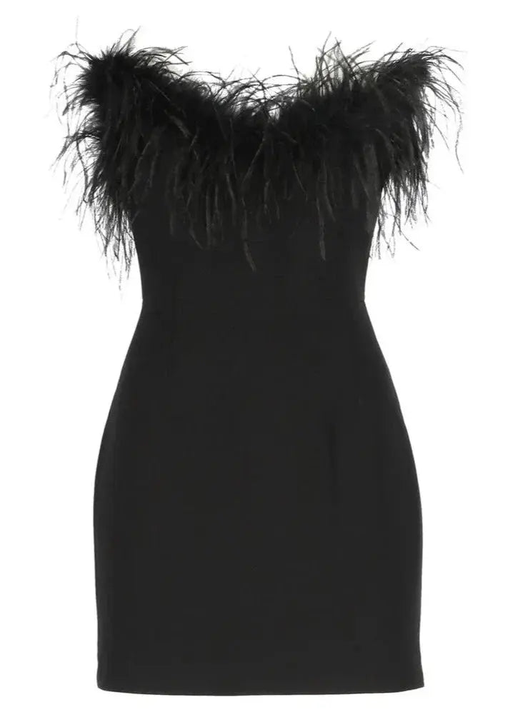 Onyx Black Mini Dress with Fitted Silhouette and Premium Fabric for Elegant Occasions
