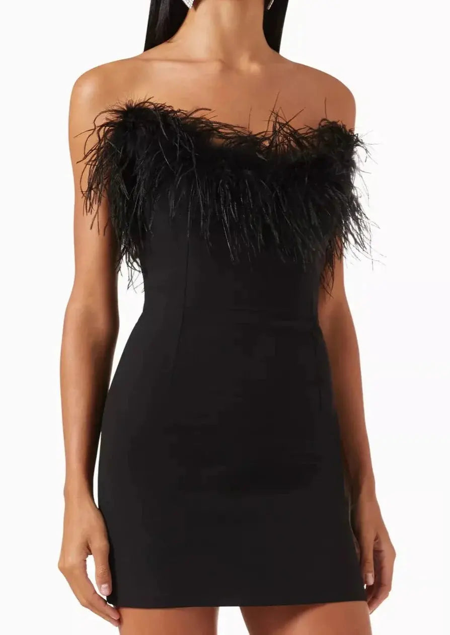 Onyx Black Mini Dress with Fitted Silhouette and Premium Fabric for Elegant Occasions