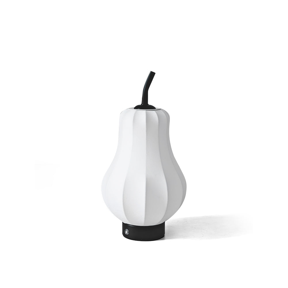 PearLume - Creative Table Lamp with Rechargeable Power