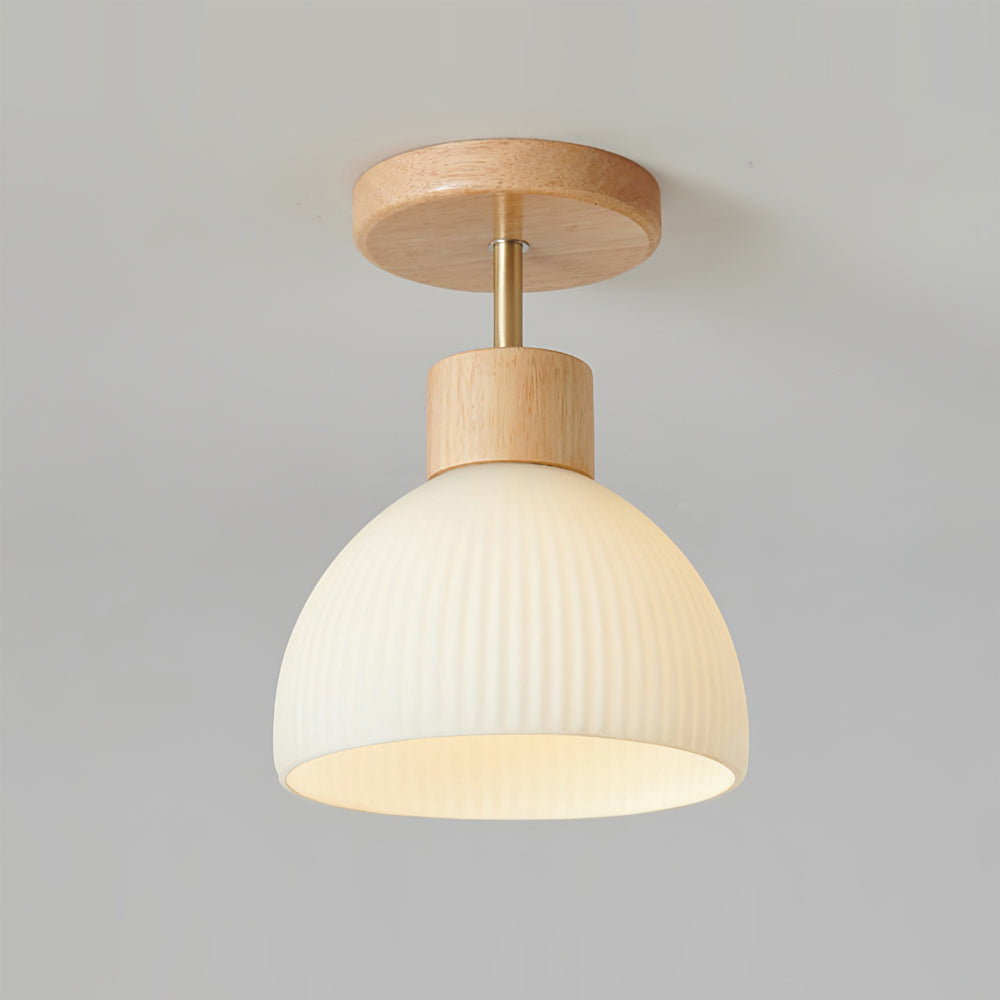PerfkShine - Contemporary Ceiling Light
