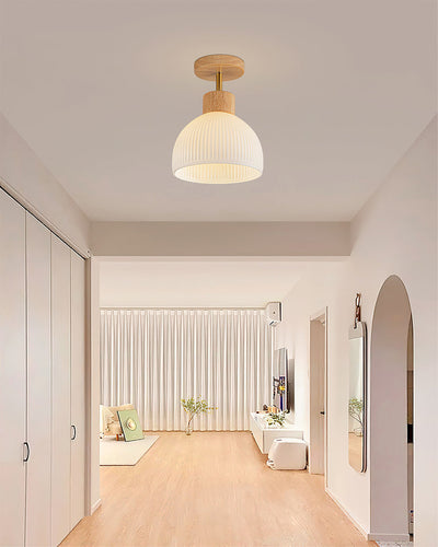 PerfkShine - Contemporary Ceiling Light