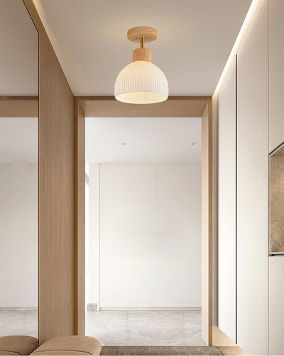 PerfkShine - Contemporary Ceiling Light