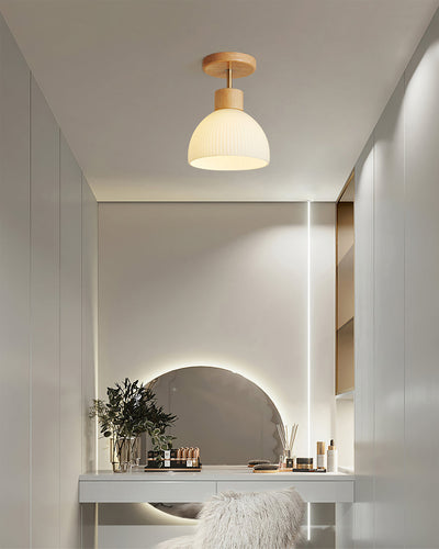 PerfkShine - Contemporary Ceiling Light