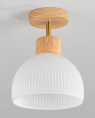 PerfkShine - Contemporary Ceiling Light