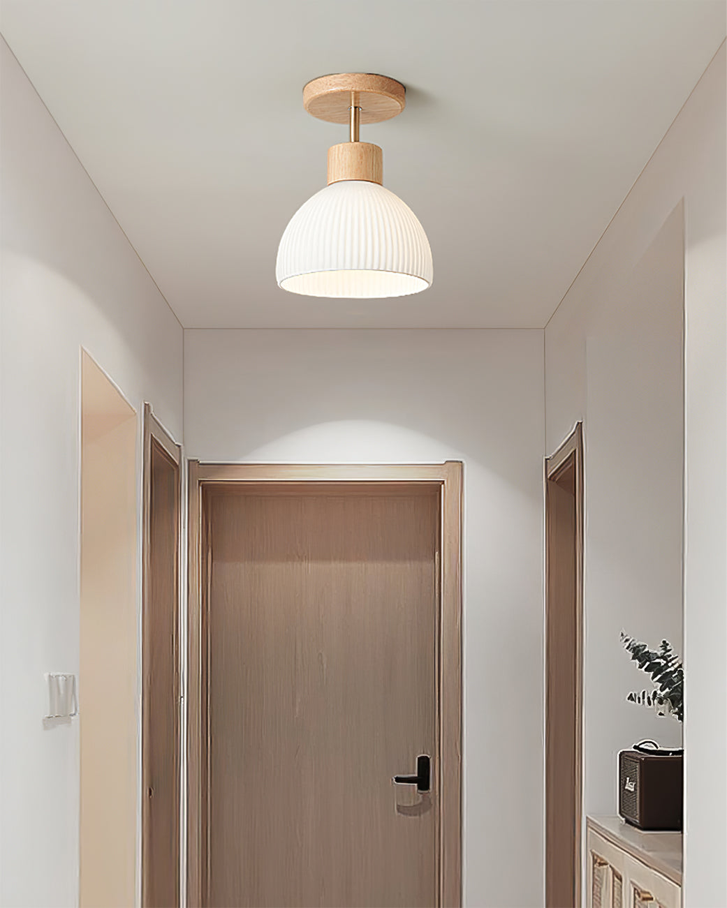 PerfkShine - Contemporary Ceiling Light