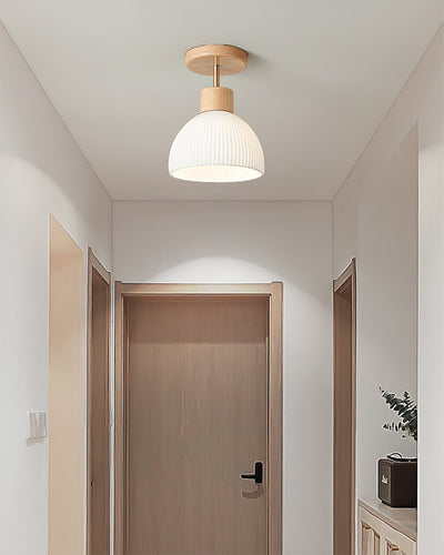 PerfkShine - Contemporary Ceiling Light