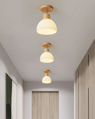 PerfkShine - Contemporary Ceiling Light