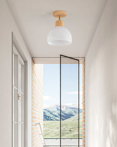 PerfkShine - Contemporary Ceiling Light