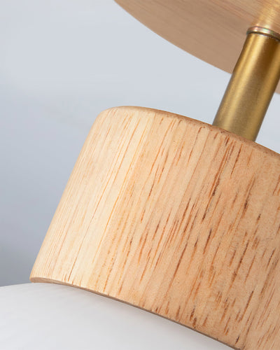 PerfkShine - Contemporary Ceiling Light