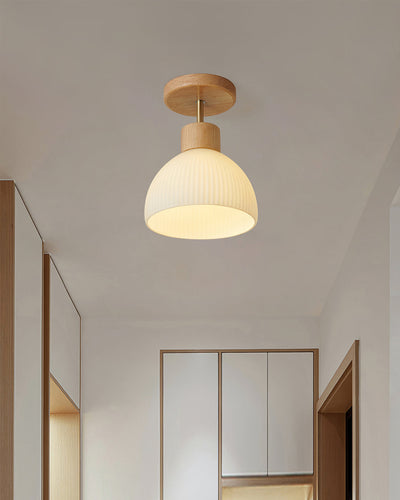 PerfkShine - Contemporary Ceiling Light