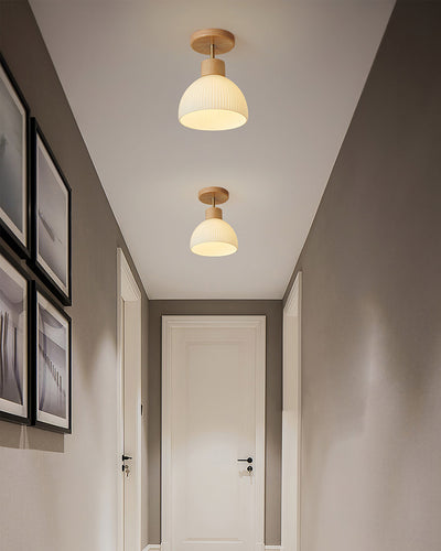 PerfkShine - Contemporary Ceiling Light