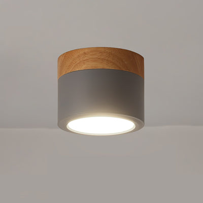 DirectLuxe - Ceiling Spotlight with Minimalist Style and Accurate Lighting