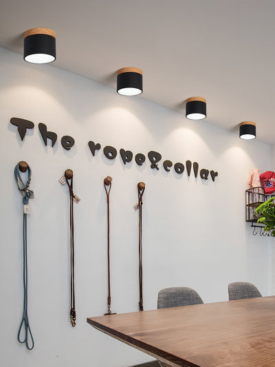 DirectLuxe - Ceiling Spotlight with Minimalist Style and Accurate Lighting