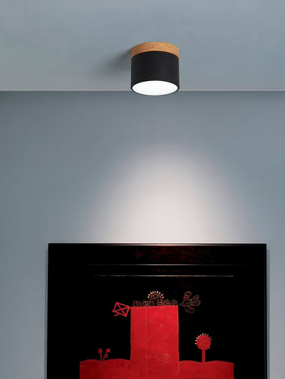 DirectLuxe - Ceiling Spotlight with Minimalist Style and Accurate Lighting