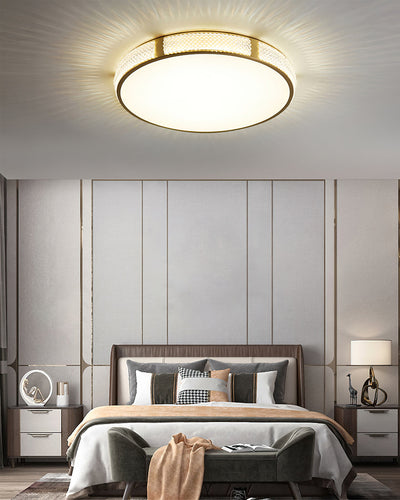 LovateShine - Modern Ceiling Fixture