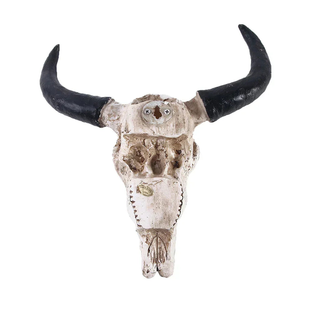 HornAura - Longhorn Skull for Your Interior
