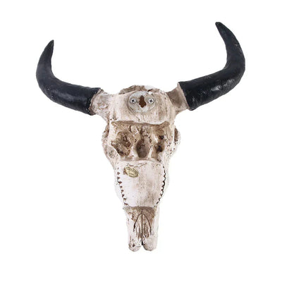 HornAura - Longhorn Skull for Your Interior