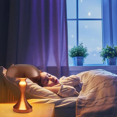 ShineAura - Sophisticated Metal Table Light
