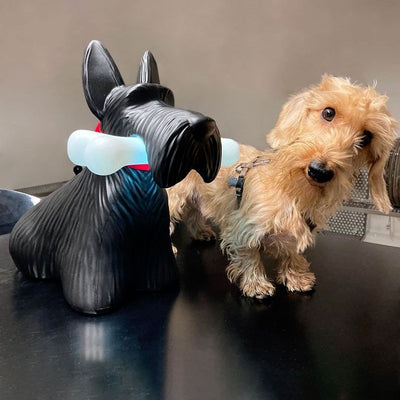 PuppyShine – Playful Scottie Dog LED Table Lamp