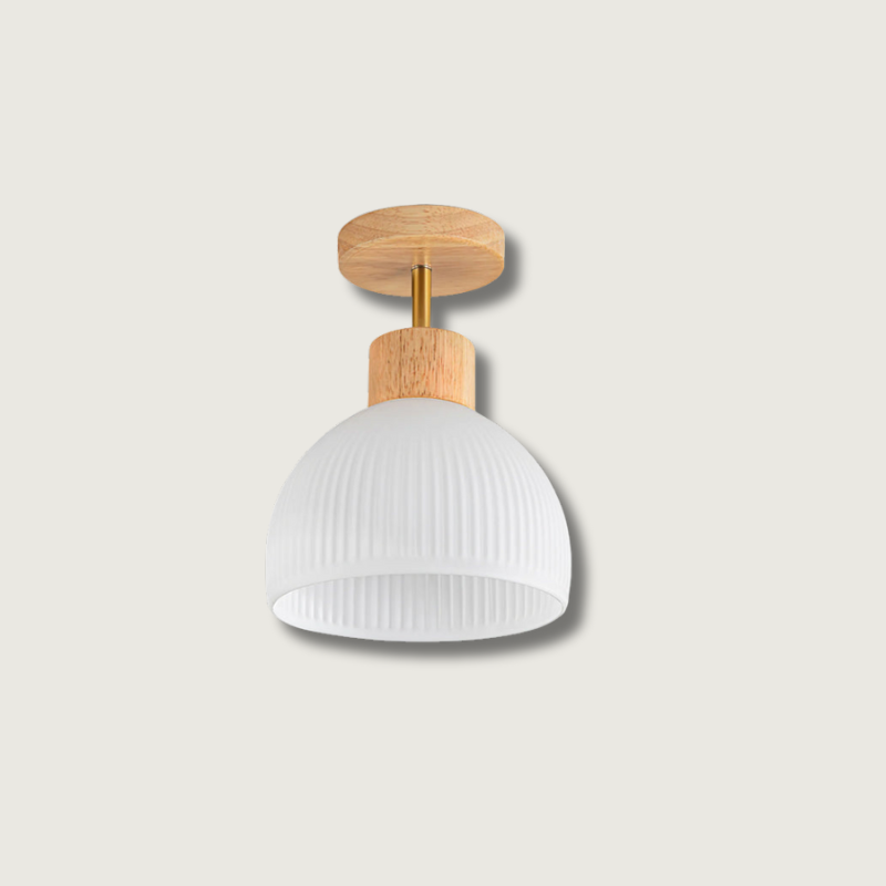 PerfkShine - Contemporary Ceiling Light