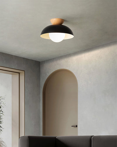 CloudReach - Pendant Lamp