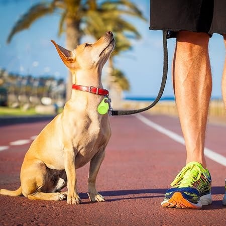 PawLocator | Bluetooth GPS Tracking Device for Pets