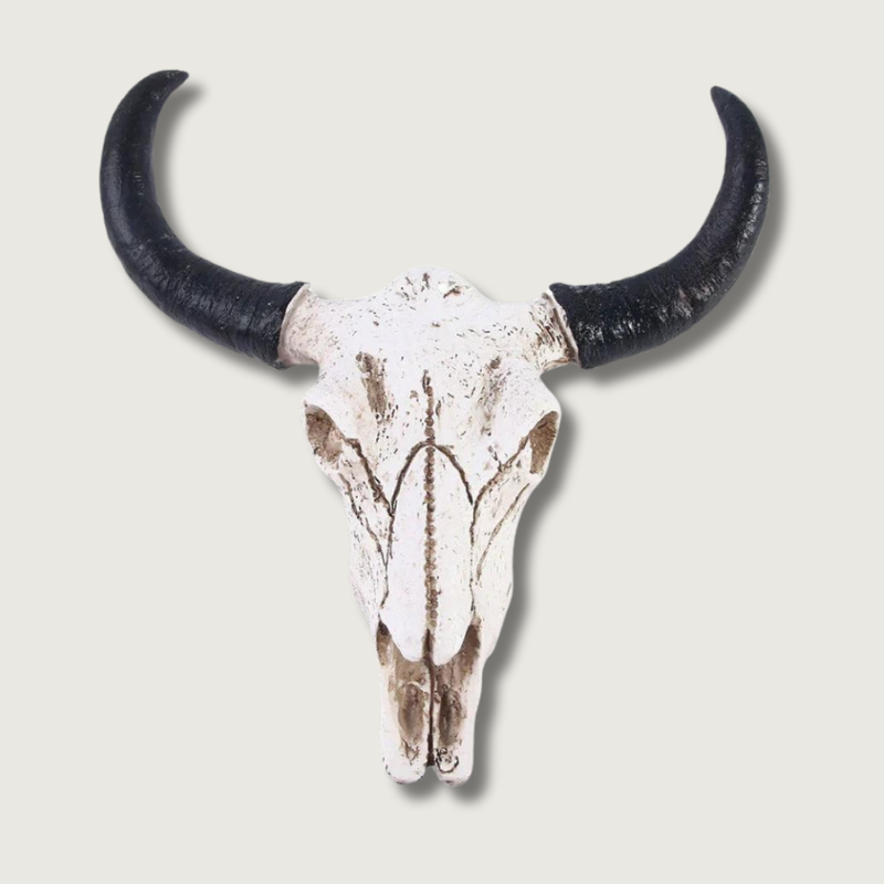 HornAura - Longhorn Skull for Your Interior